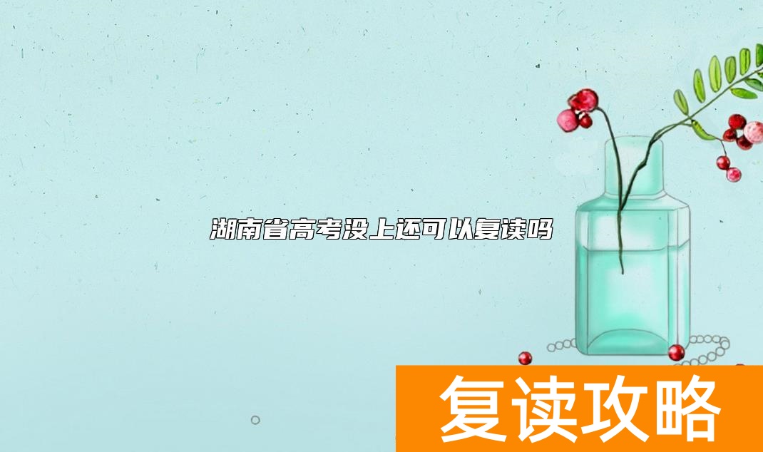 湖南省高考没上还可以复读吗